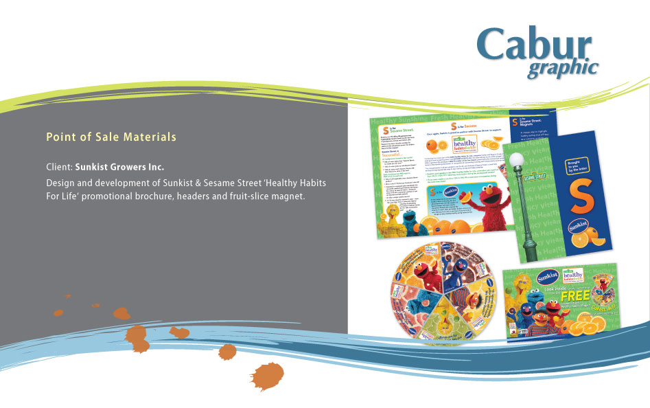 From product coupons to in-store merchandise displays or from to logo development to year-end corporate reports - we create successful visual solutions.